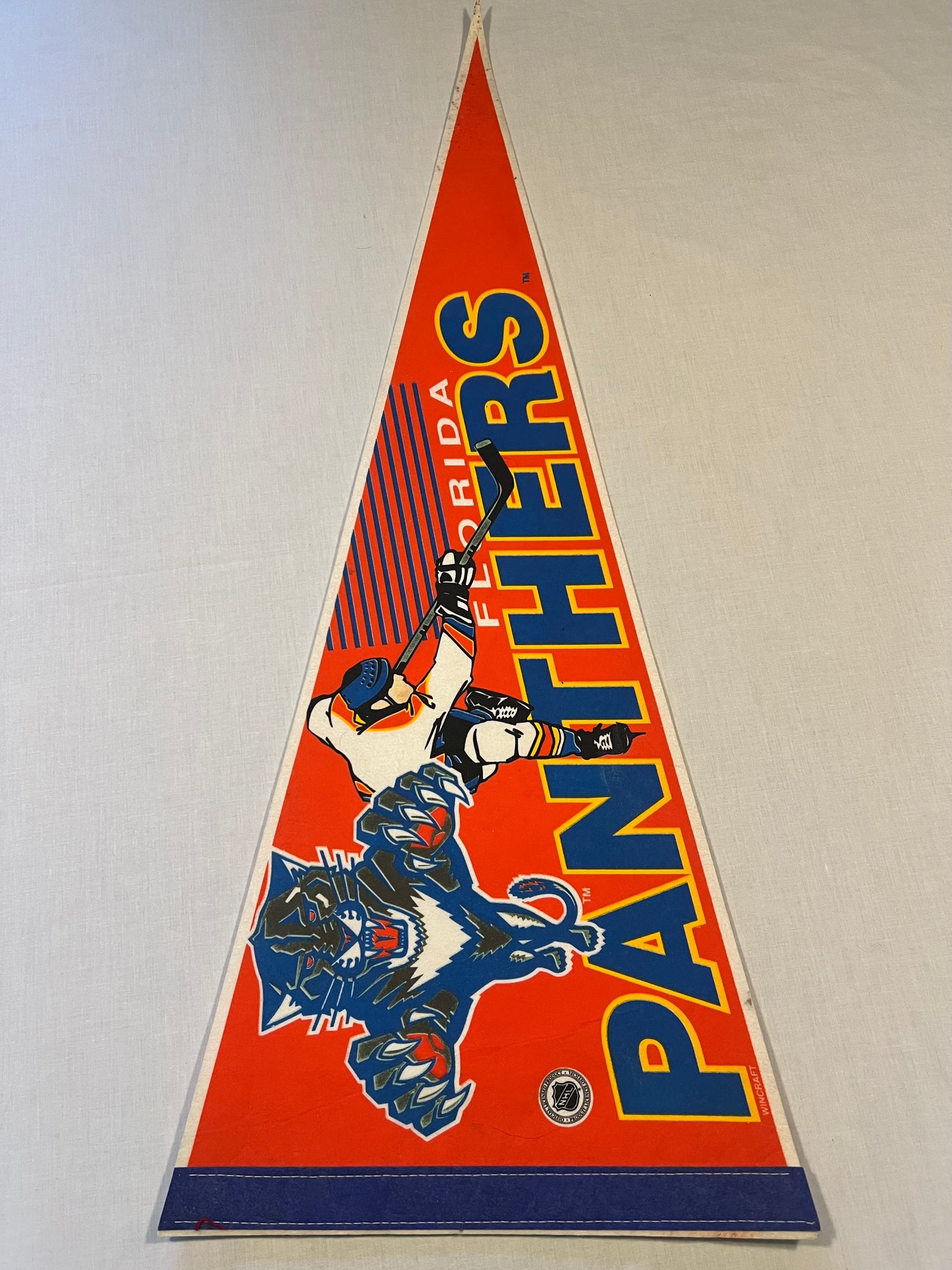 Florida Panthers Vintage Pennant