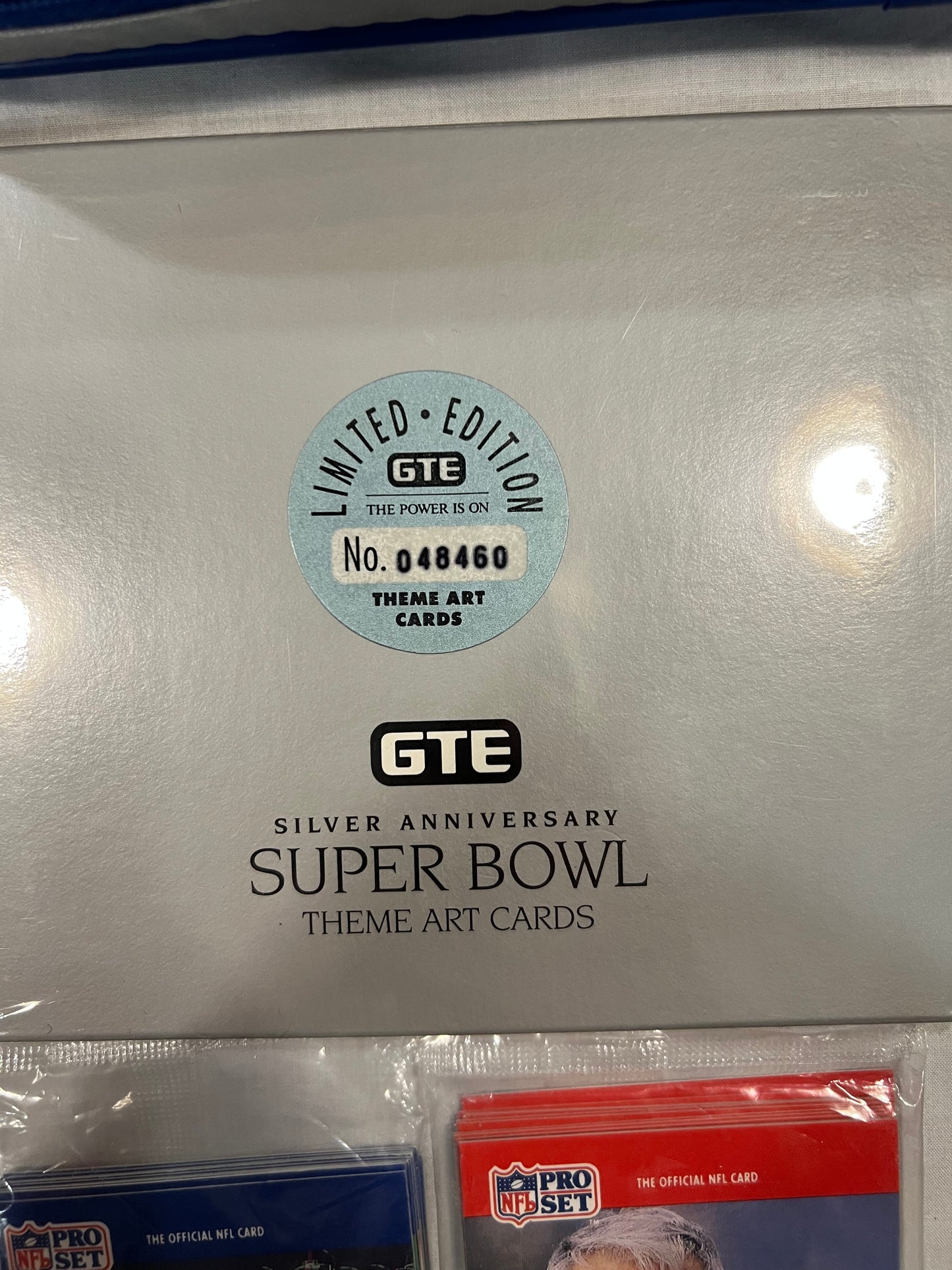 Super Bowl XXV 1991 Tampa Cushion w/ extras