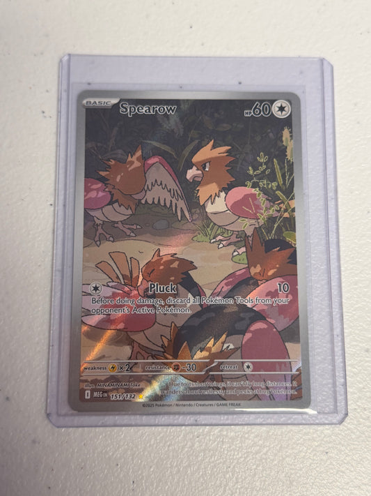 Spearow