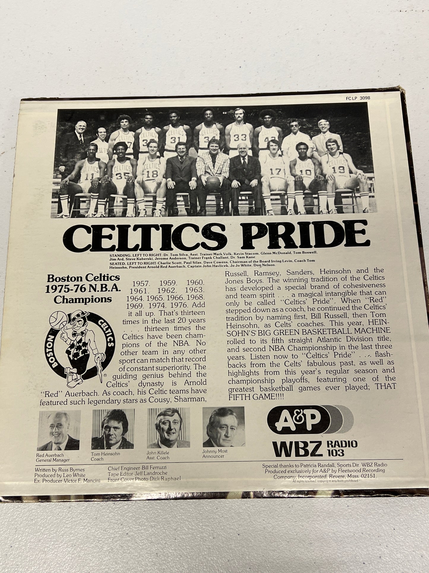 Boston Celtics Pride Vinyl