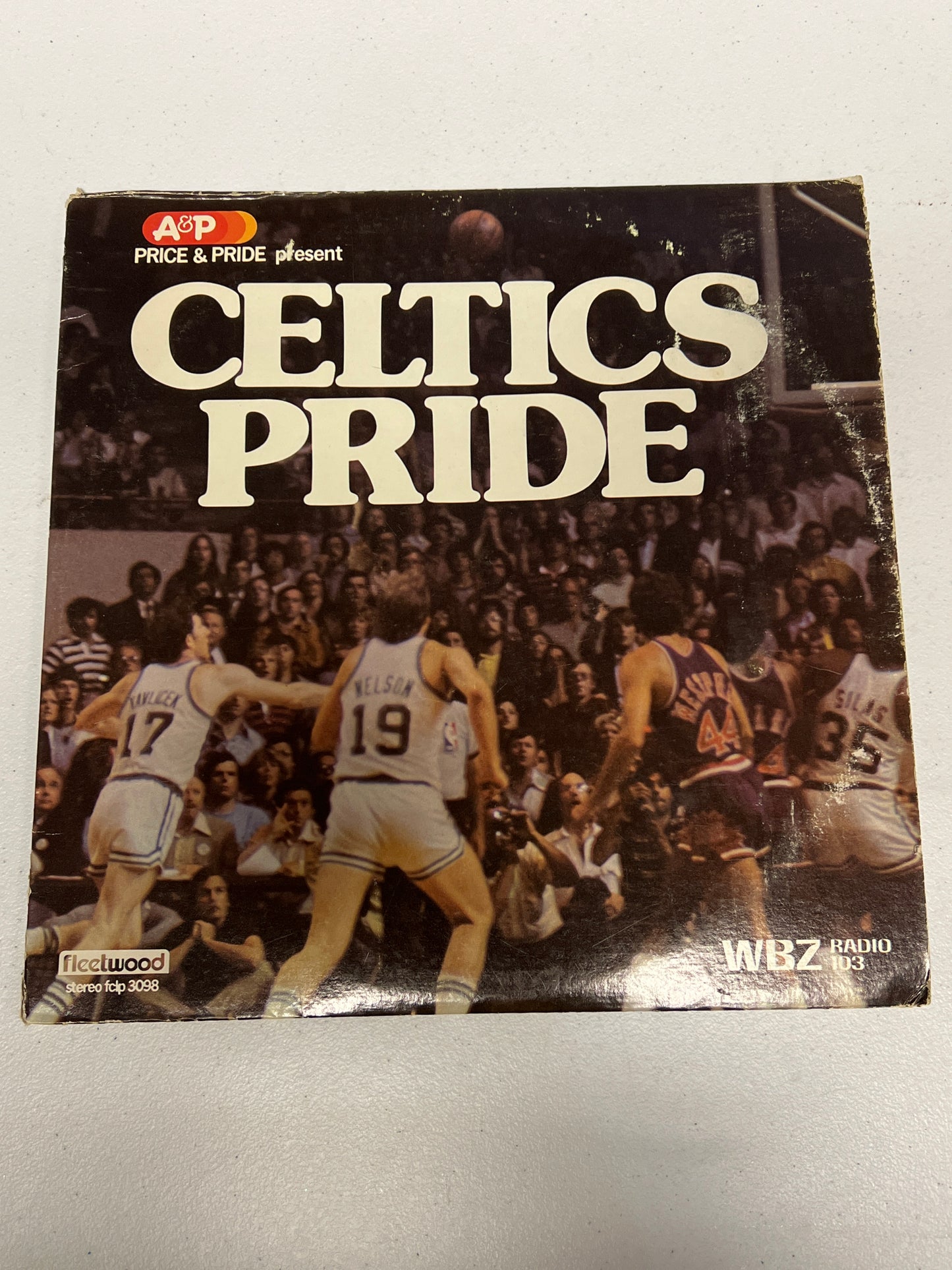Boston Celtics Pride Vinyl