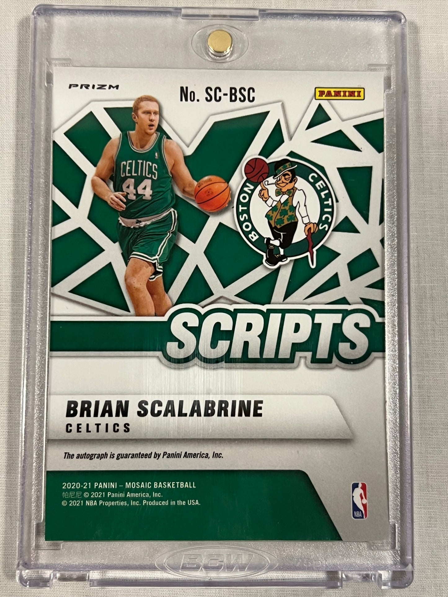 Brian Scalabrine Mosaic Scripts Auto