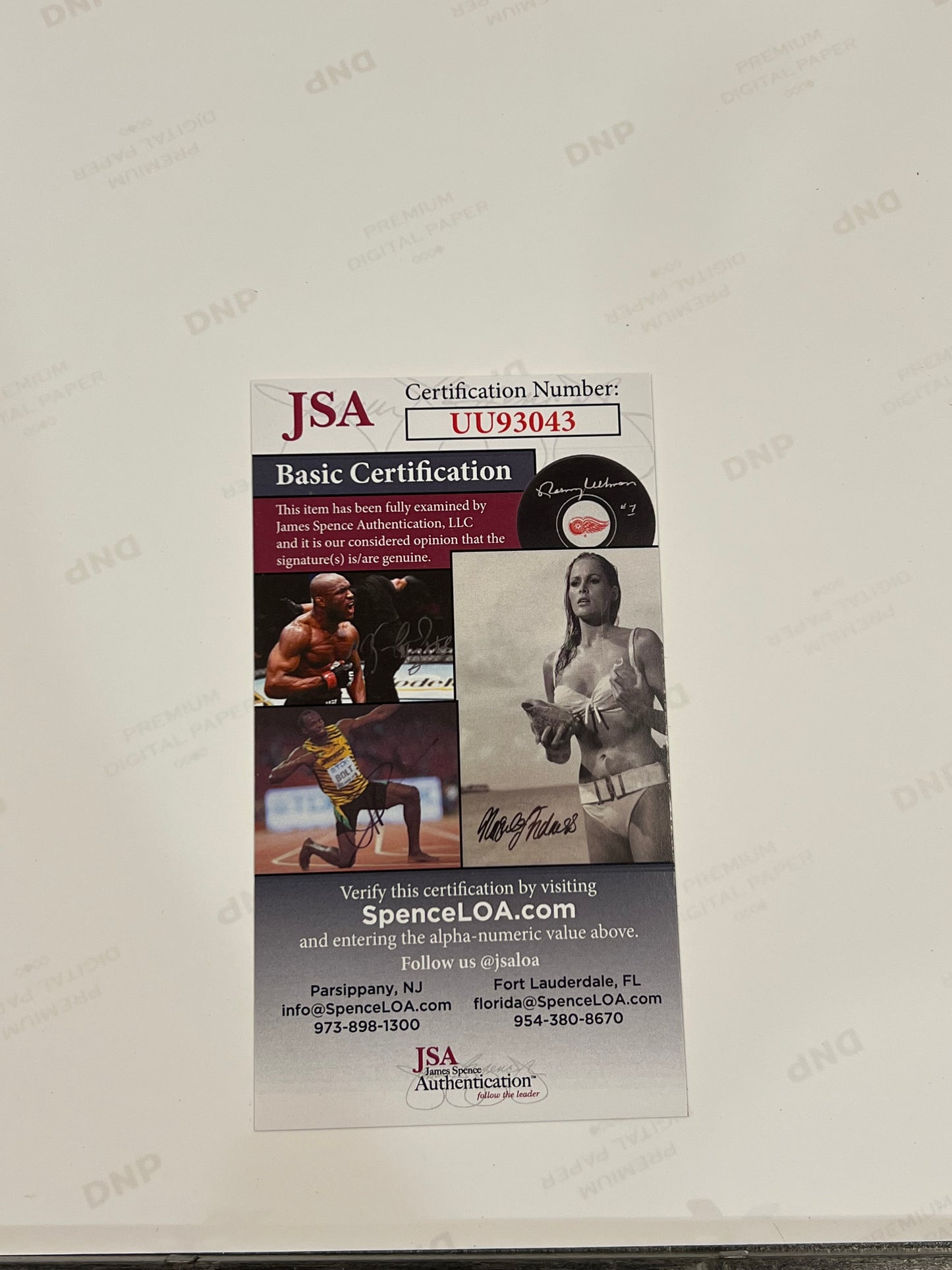 Cristian Vazquez Signed Boston Red Sox Picture