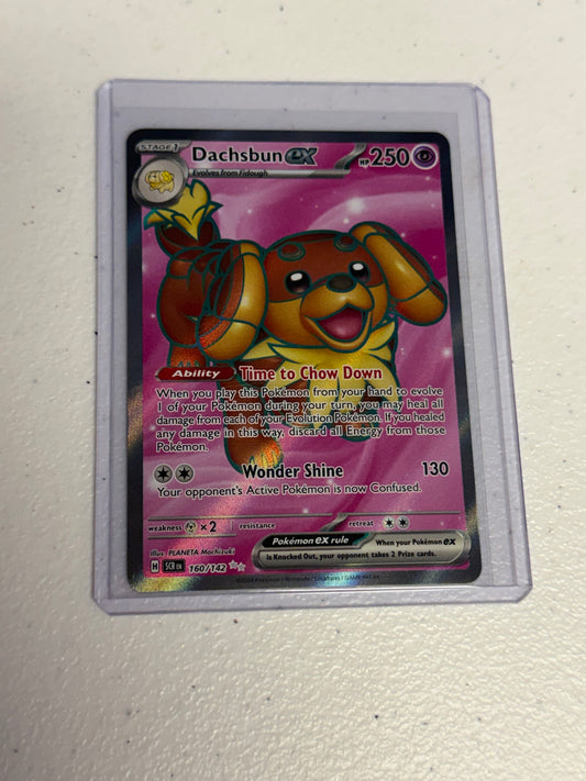 Dachsbun EX