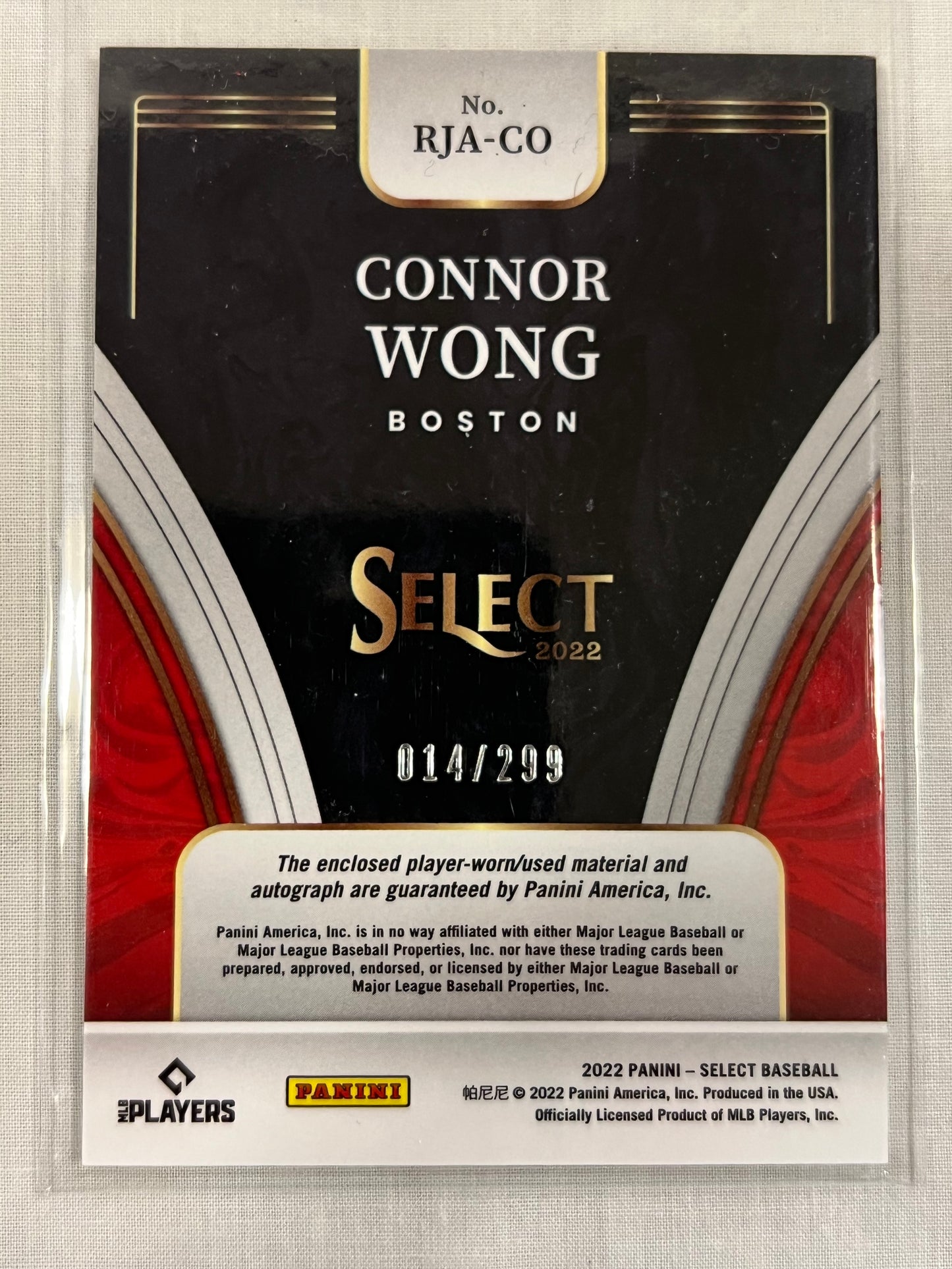 Connor Wong Select RPA /299