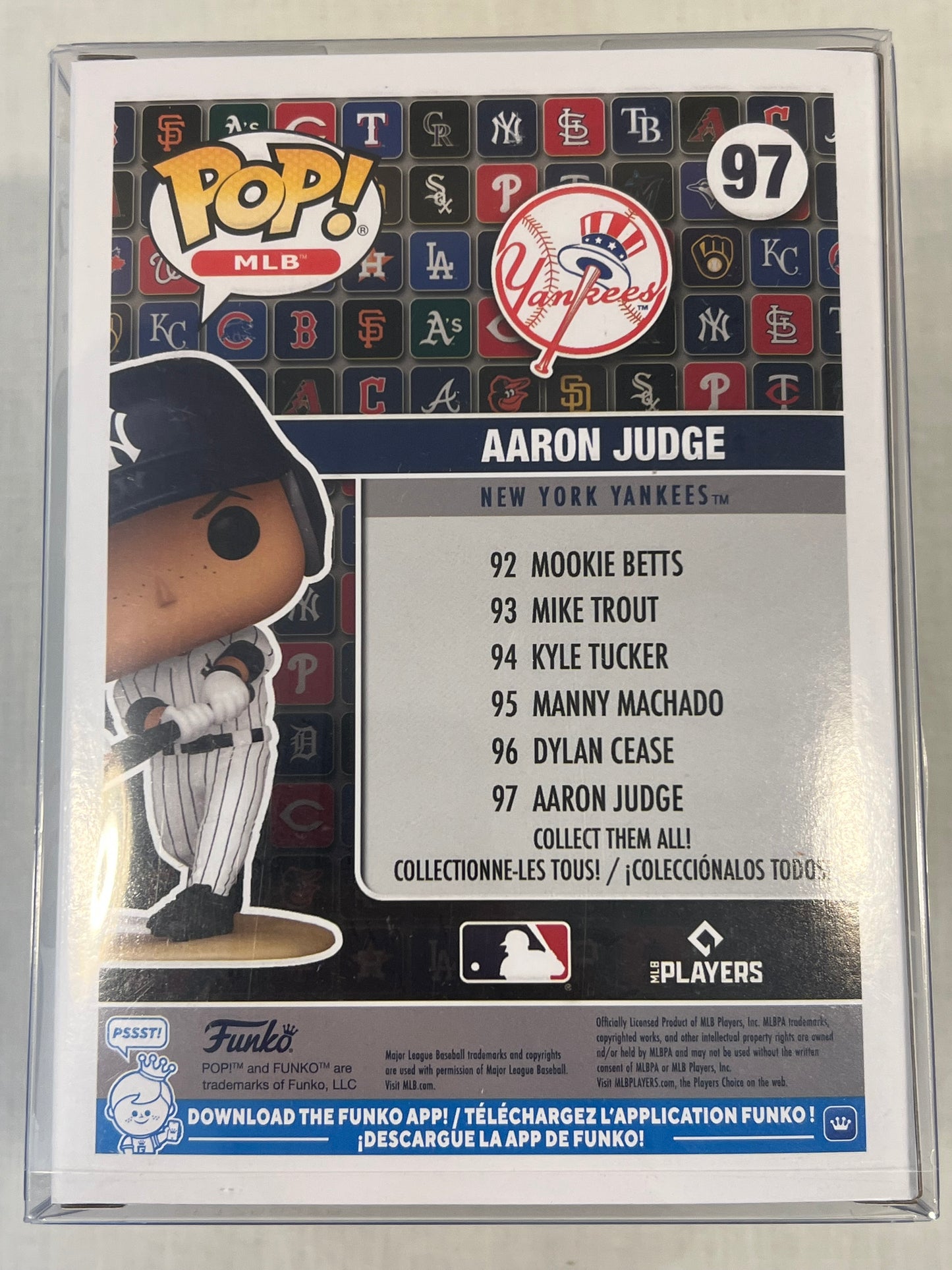 AAron Judge w/ protective case