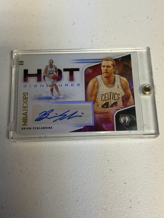 Brian Scalabrine Hot Signatures Auto