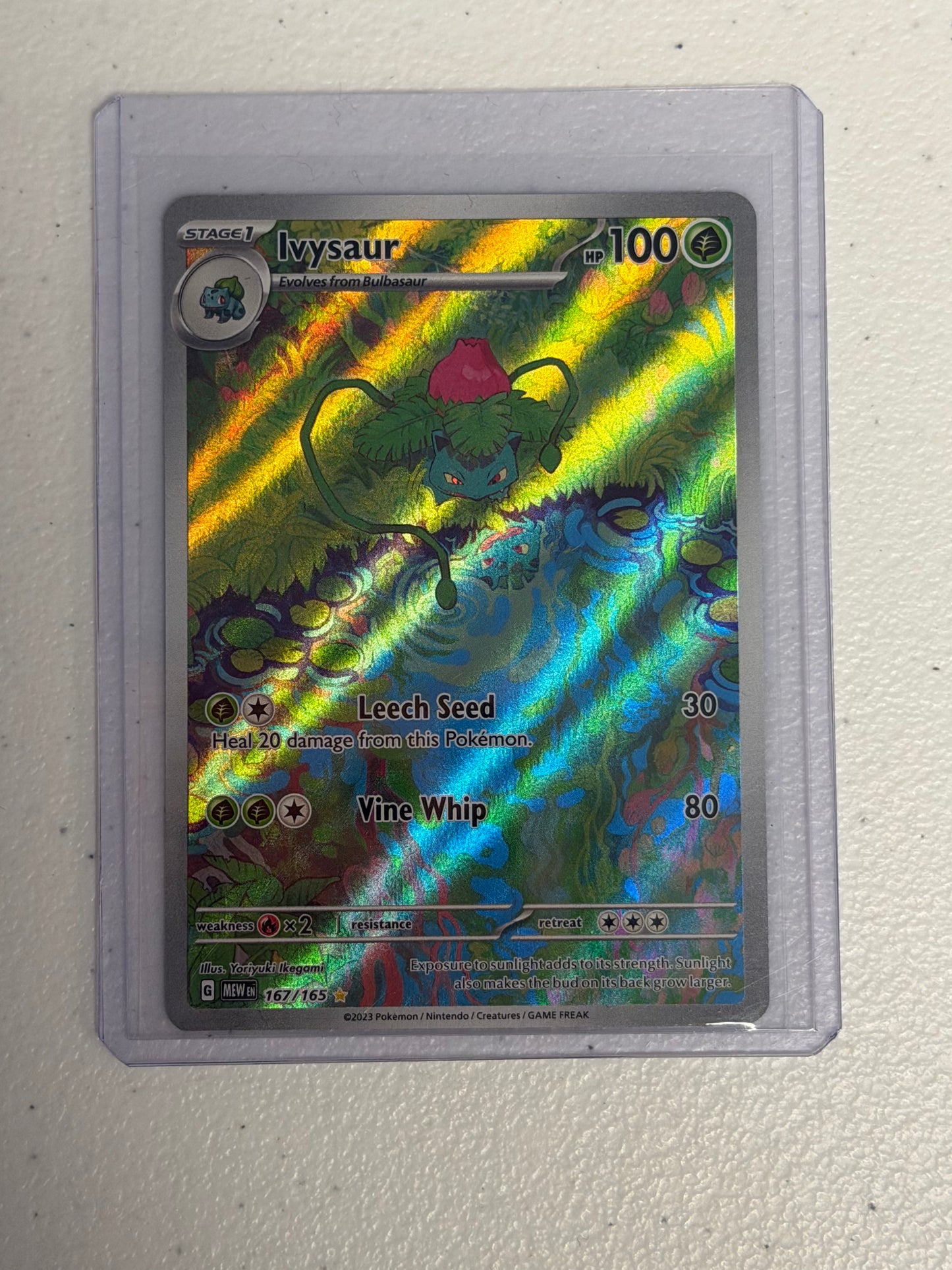 Ivysaur 151